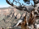 PICTURES/Colorado National Monument/t_Coke Ovens4.JPG